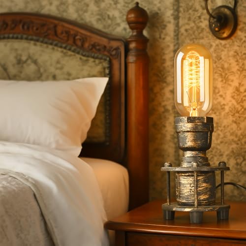 8 Pack Vintage Edison Light Bulbs 60W (8 Count)
