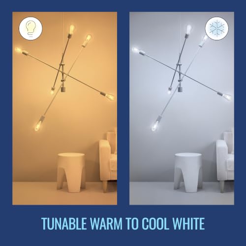 60W ST19 Tunable White Filament LED Smart Light Bulbs