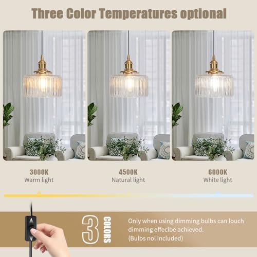 Plug in Pendant Light Clear Glass Striped Pendant Light Fixtures Vintage Glass Hanging Lighting 1
