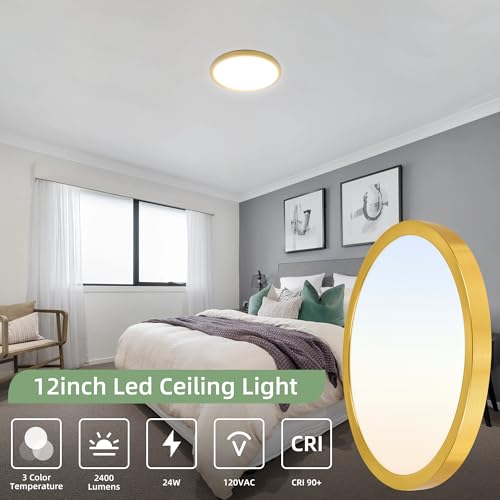 12 Inch Selectable CCT LED Round Flat Panel Light