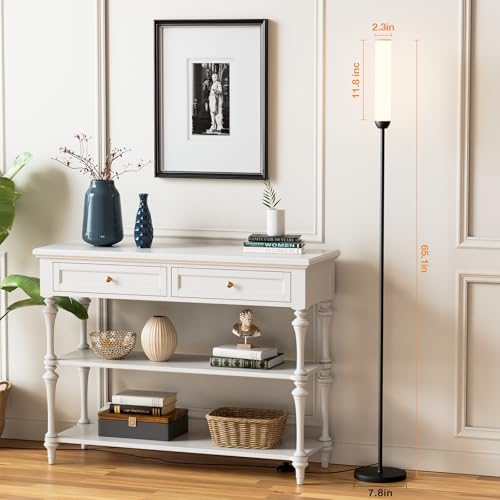 LED Floor Lamp with Remote Control