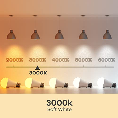 A19 LED Light Bulbs (6 Count)