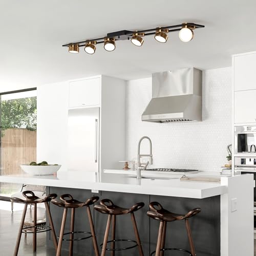 48 Inch Modern Dimmable LED Track Lighting with Remote