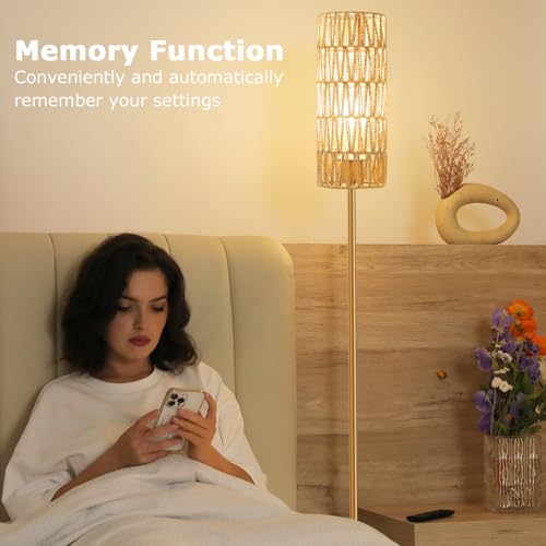 64'' Floor Lamps for Living Room with Remote Control and Stepless Dimmable Colors Temperature & Brightness