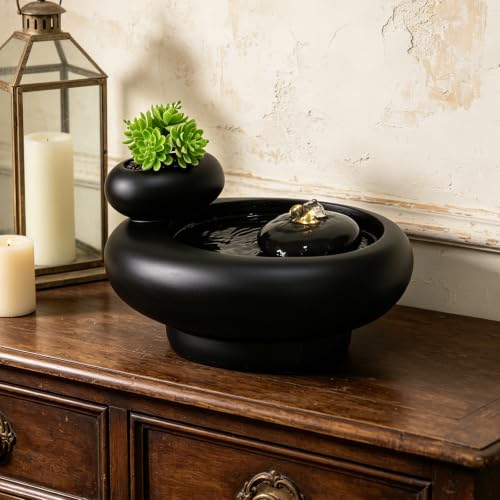 Table Fountain Indoor Water Zen Garden Decor with Succulent Plant