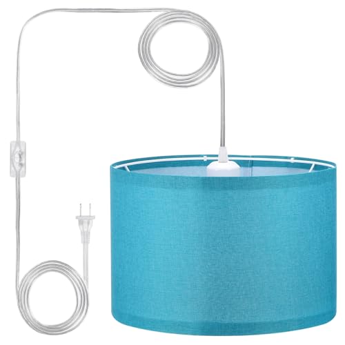 Plug in Pendant Light