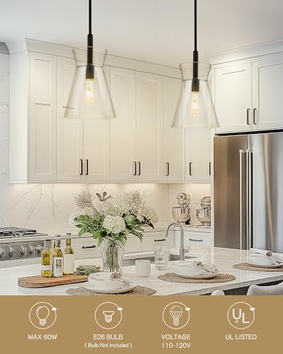 9 Inch Black Pendant Light (2 Count)