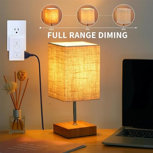 Plug in Lamp Dimmer with Remote (100 Count)