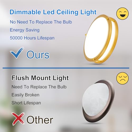 DLLT Flush Mount LED Ceiling Light