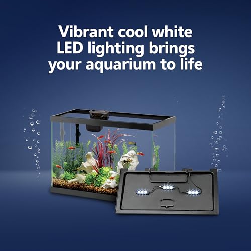 Aquarium Starter Kit with Smart Clean Filtration and LED Lighting