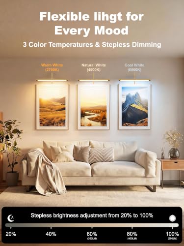 Plug in Picture Light for Wall (Gold / 24 Inch)