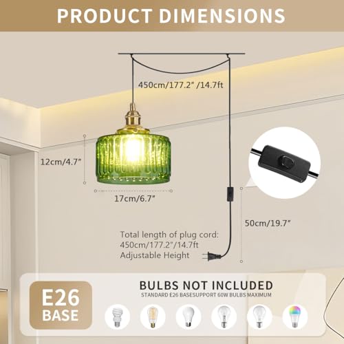 Vintage Plug in Pendant Light Fixture