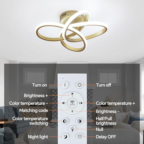 Modern Ceiling Light