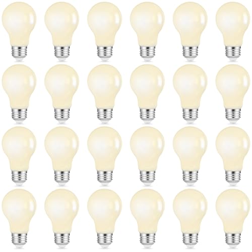 24 Pack A19 LED Light Bulbs Dimmable (24 Count)