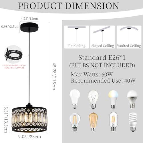 Crystal Black Pendant Light Fixture