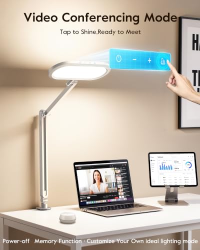 Desk Lamp for Home Office with Clamp for Video Conference