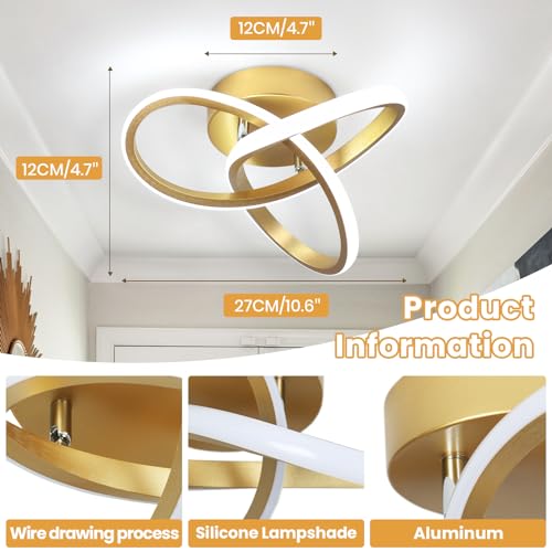 Modern Led Ceiling Light Fixture