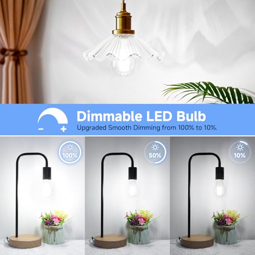 A19 Vintage LED Edison Light Bulbs 60W Equivalent (4 Count)