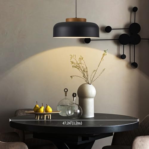 Large Pendant Light Fixture