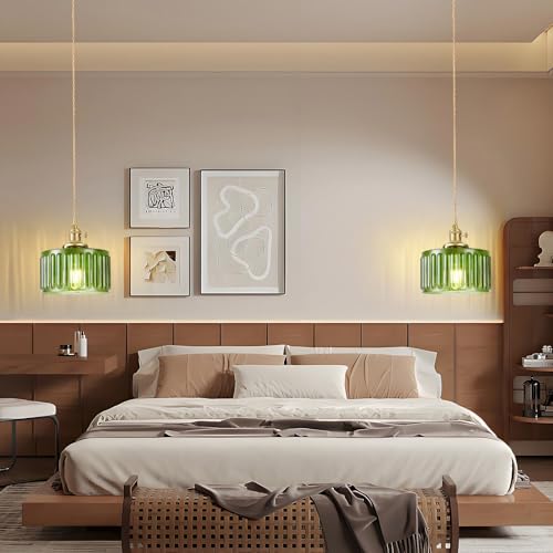 Plug in Pendant Light
