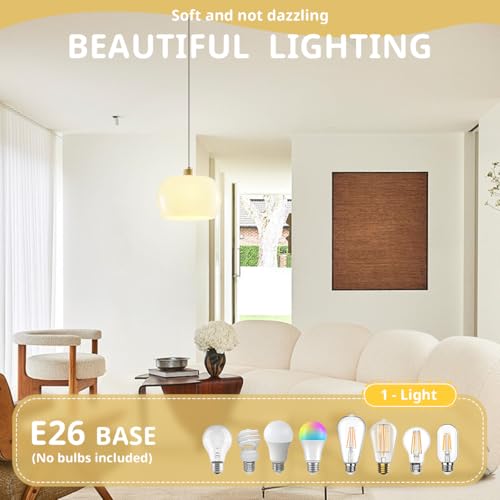 2 Pack 1 Light Dome Glass Pendant Lights
