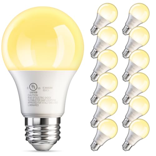 12 Pack A19 LED Light Bulb (12 Count)