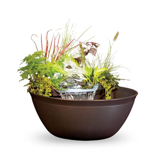 AquaGarden Mini Pond Kit