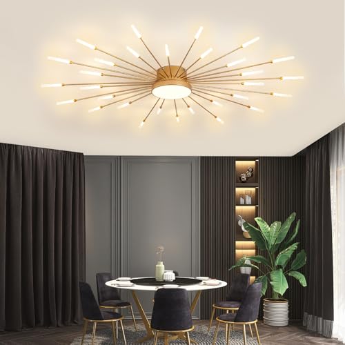 Modern Ceiling Light