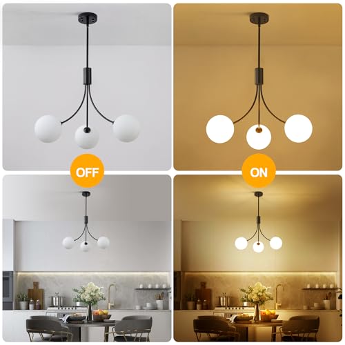 3 Light Modern Farmhouse Black Chandeliers for Entryway