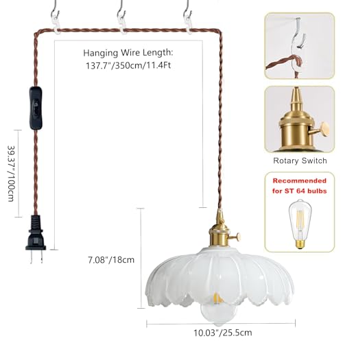 Plug in Pendant Light