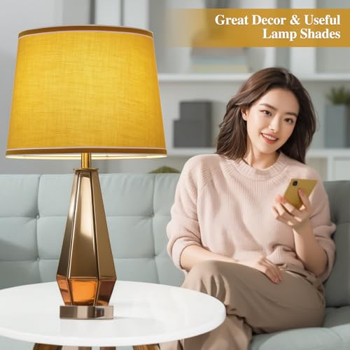 Lamp Shades Set of 2 (2 Count)