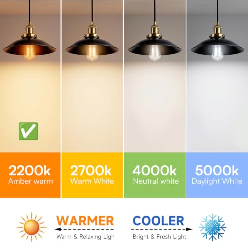 Vintage Edison LED Light Bulbs (4 Count)