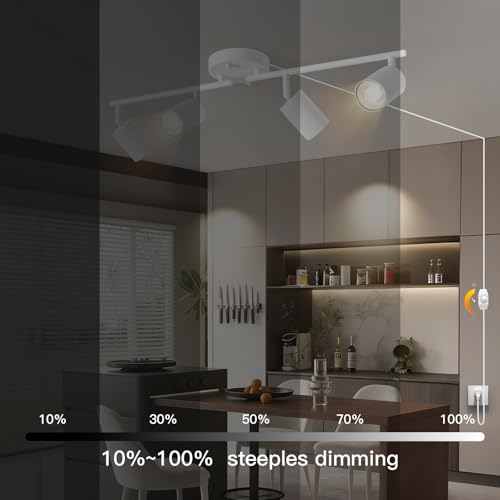 Dimmable Plug in Track Lighting