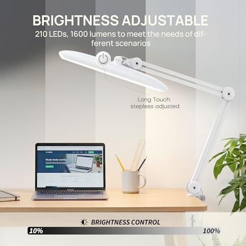 LED Desk Lamp with Clamp