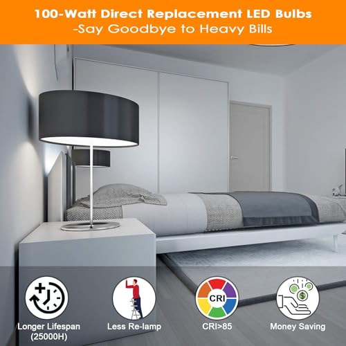 LED Light Bulbs 100W Equivalent 1100 Lumens (12 Count)