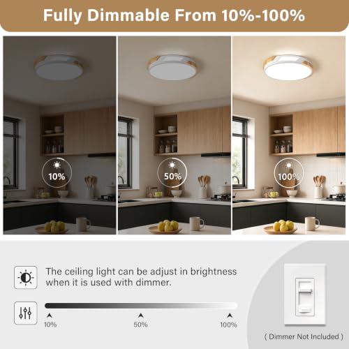 Modern LED Ceiling Light