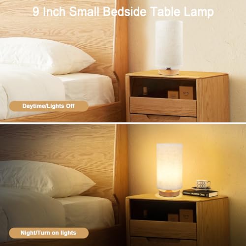 Small Bedside Table Lamp for Bedroom set of 2 (2 Count)