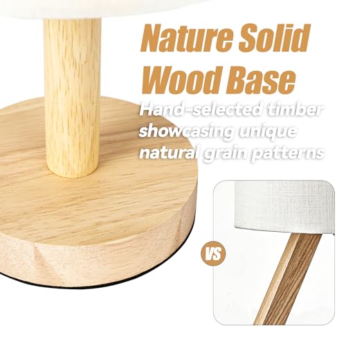 Small Table Lamp