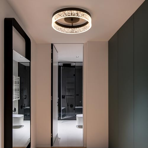 Modern LED Ceiling Light Fixture