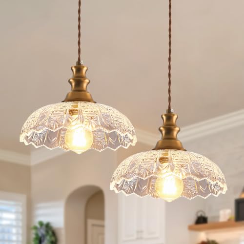 2 Pack Pendant Light Vintage Oil Rubbed Bronze Metal Glass Shade Chandelier