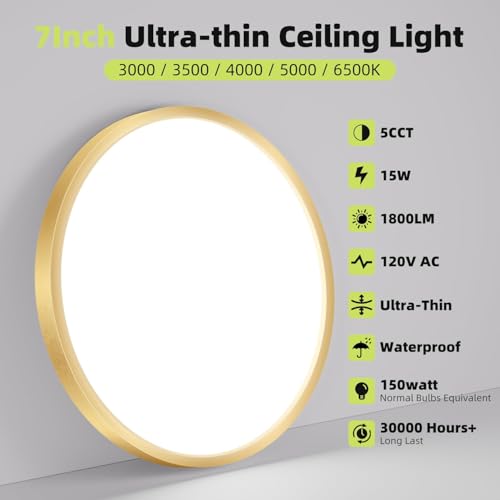2PACK Flush Mount LED Ceiling Light Fixture