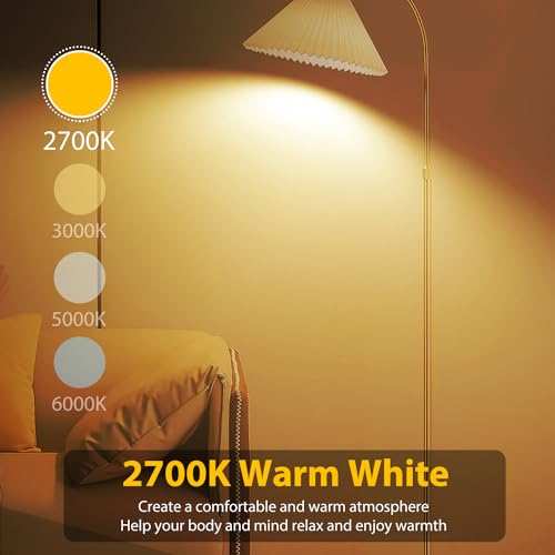 6 Pack A19 LED Bulbs (6 Count)