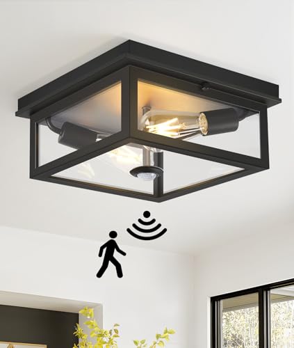 Motion Sensor Outdoor Ceiling Light with Remote
