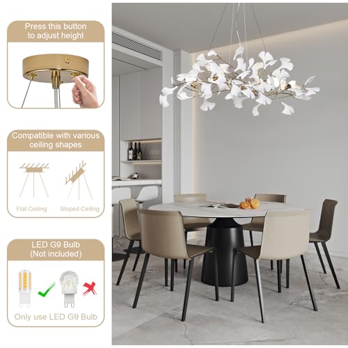 Modern Chandeliers for Dining Room (5 Count)