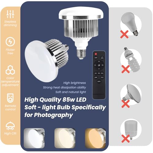 2 Pack 20" Octagonal Softbox Lighting Kit with 85W LED Bulbs