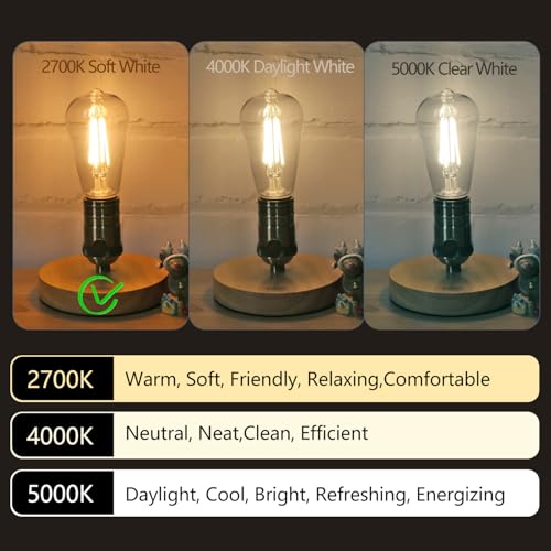 12Pack Vintage LED Edison Bulbs (12 Count)
