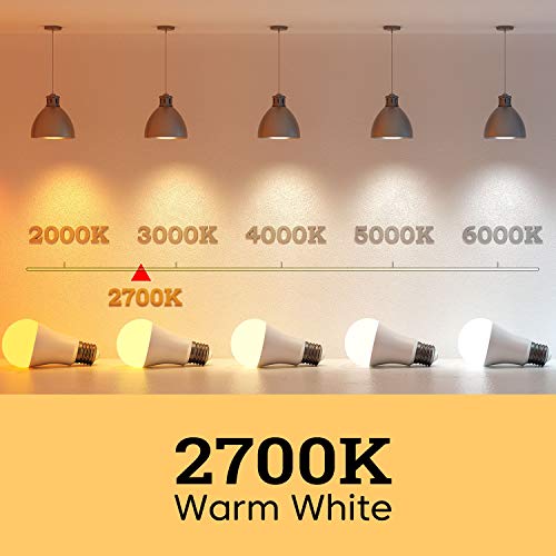A19 LED Light Bulbs (6 Count)