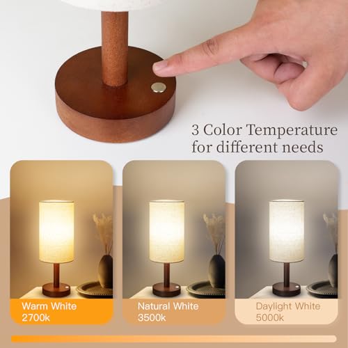 Cordless Table Lamp