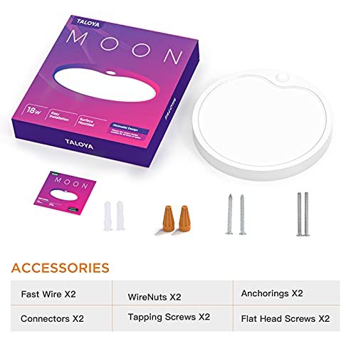 Motion Sensor Ceiling Light