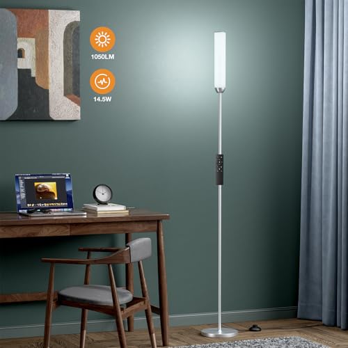 LED Floor Lamp with Remote Control